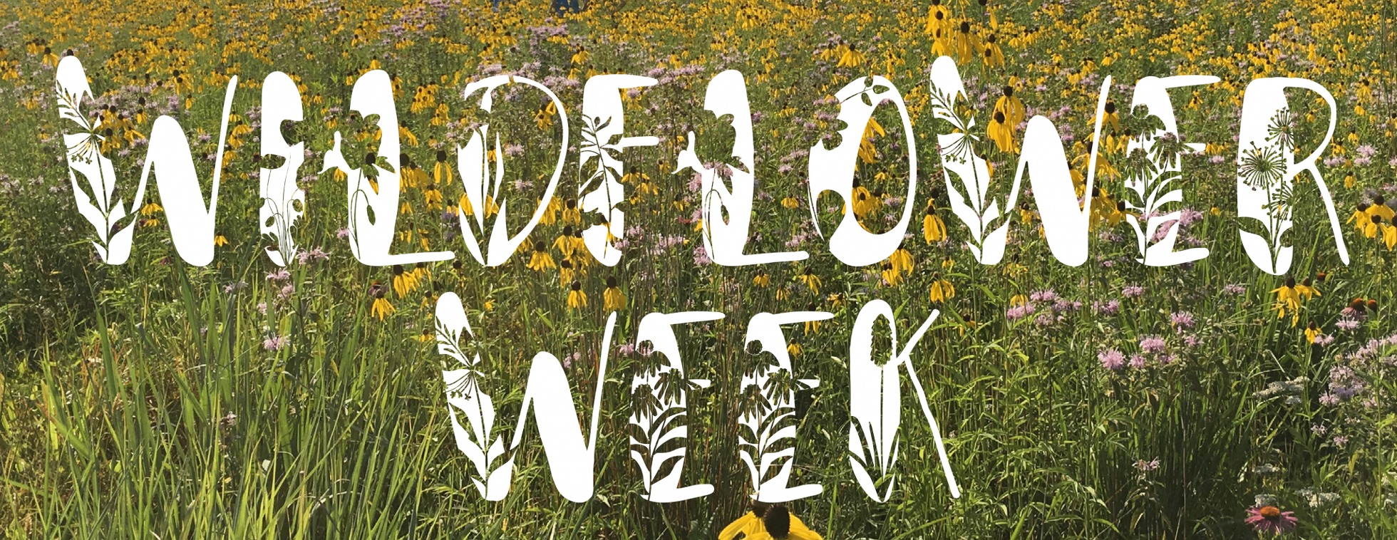 2024 Wildflower Week | July 20 - July 27
